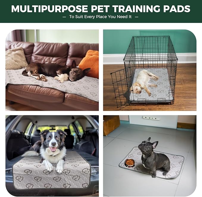 FXW Washable Pee Pads for Dogs, Puppy Pads with Super Absorbent, Specifically Designed for Potty Training, 35" Square, Khaki, 2 Packs