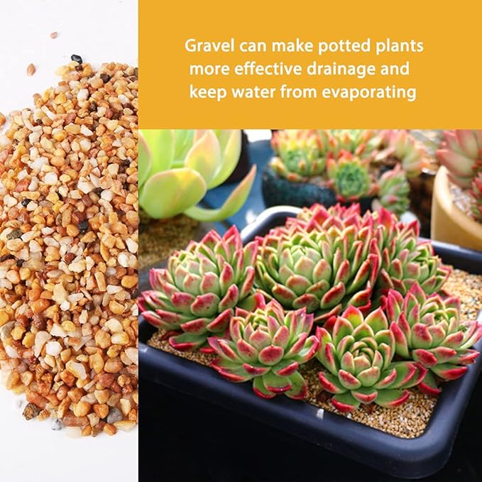 7lb Cactus Pea Gravel Rocks,1/5 Inch Pebbles for Indoor Plants, Natural Succulent Rock and River Rocks Decorative for Aquariums, Vases, Terrarium, Outdoor Gardening, Top Dressing for Potted Plants