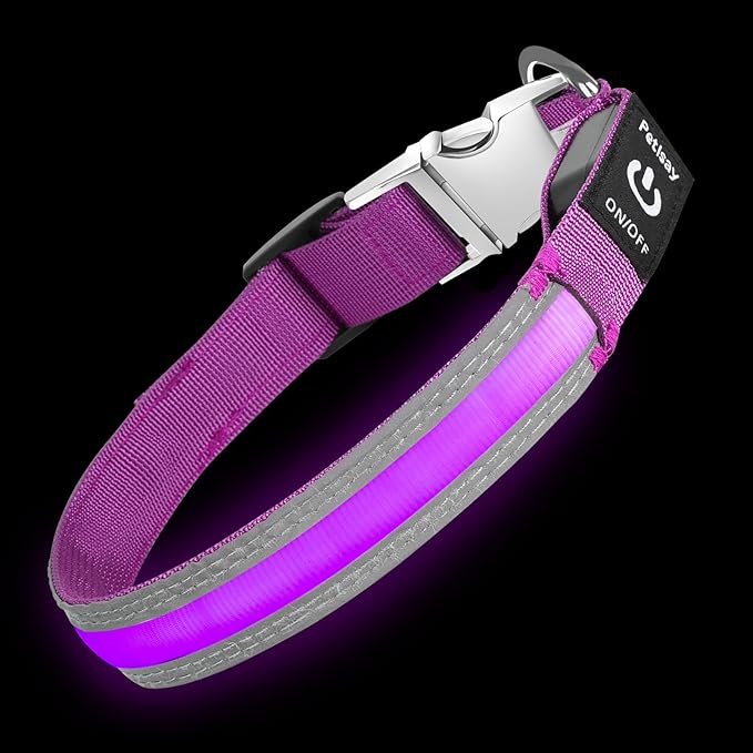 PetIsay LED Dog Collar Metal Buckle - Heavy Duty Light up Collars - Rechargeable IP68 Waterproof - Lighted Dog Collar for Night Walking, Hiking, Camping (Medium, Purple)