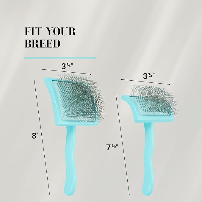 Chris Christensen Big G Dog Slicker Brush for Dogs (Goldendoodles, Labradoodles, Poodles), Groom Like a Professional, Fluff Detangle Style, Saves Time Energy, Teal, Medium
