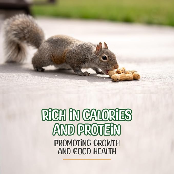 Premium Quality- 25 Pound Raw Peanuts in Shell – All-Natural Food for Squirrels, Deer, Birds, and Other Wildlife Animals – Bulk Wholesale Bag – Grown in The USA for Healthy Nutrition