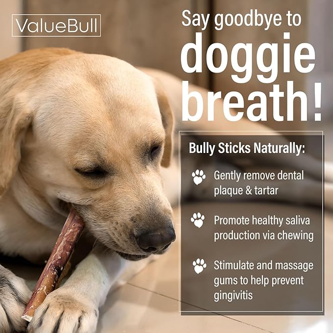 ValueBull Bully Sticks for Large Dogs, Jumbo 6 Inch, 50 Count - All Natural, Grass Fed, Single Ingredient, Long Lasting Dog Treats for Aggressive Chewers
