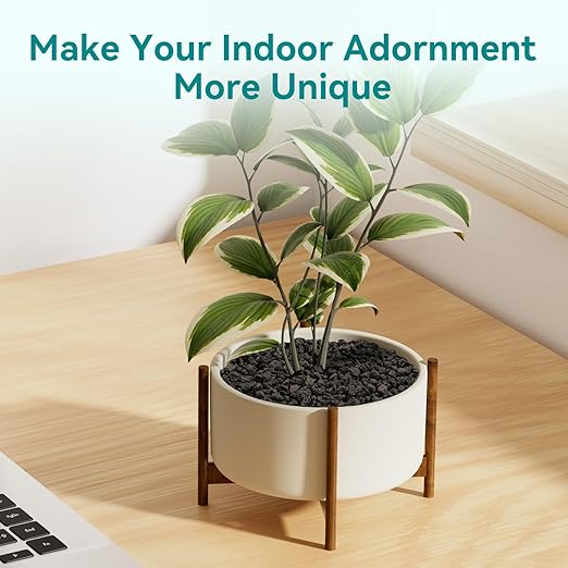 2.5lbs Small Lava Rocks for Plants Drainage, 1/5 Inch Black Gravel Mulch for House Plants, Succulent Rocks Pebbles for Planters,Cactus, Bonsai Tree, Pure Volcanic Rocks, Top-Dressing