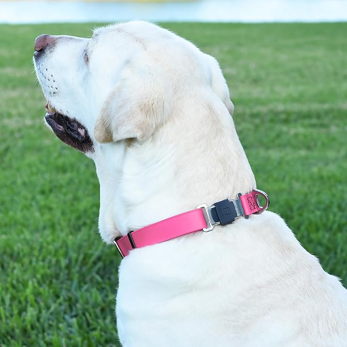 Dogline Biothane Waterproof Dog Collar with Herm Sprenger Black Stainless Steel Quick Release Buckle – Heavy Duty Tactical Durable Collar for Dogs – Comfortable and Safe Pet Collar W 1" L 15-25" Pink