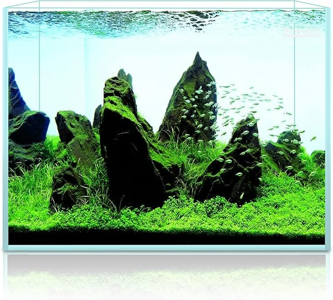 2.5 Gallon Rimless Aquarium Tank, Ultra Clear Low Iron Nano Fish Tank for Betta Shrimp, L11.8×W5.5×H9.8 Glass Thickness 5mm with EVA Foam Leveling Mat