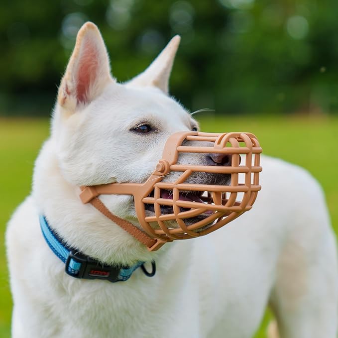 Baskerville Classic Basket Muzzle - Dog can Pant and Drink, Prevents Biting and Food Waste Scavenging, Strong TPR, Ideal for Longer Nosed Dogs, Breathable Dog Training Muzzle for Medium Dogs (Size 6)