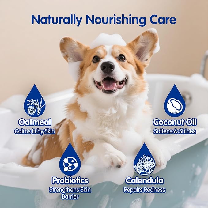 Unipaws Probiotic Dog Shampoo for Short-Haired Coats – Itch Relief, Deodorizing & Hydrating for Healthy, Fresh Skin with Calendula & Oatmeal – EWG Green & White Tea Scent, Made in Korea, 16.9 Fl Oz
