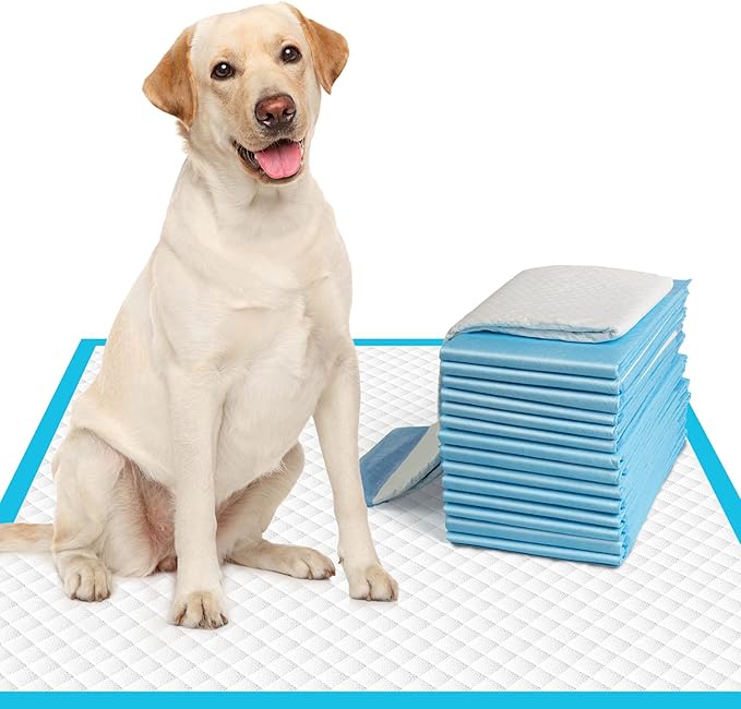 IMMCUTE Large Dog Pee Pads 28"x30"-30 Count | Large Puppy Pee Training Pads Super Absorbent & Leak-Proof | Disposable Pet Piddle and Potty Pads for Puppies | Dogs | Doggie| Cats | Rabbits