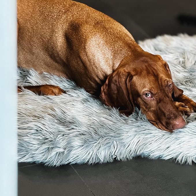 IHAPPYDOG Luxury Faux Fur Orthopedic Dog Bed, Memory Foam Dog Bed for Small, Medium, Large and XL Pets, Fluffy Pet Bed with Waterproof and Washable Cover (Grey, 40"x25")