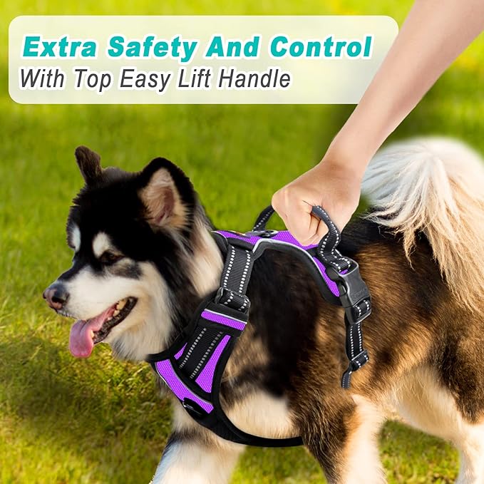 BARKBAY No Pull Dog Harness Large Step in Reflective Dog Harness with Front Clip and Easy Control Handle for Walking Training Running(Purple,L)