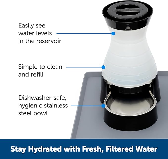 PetSafe Healthy Pet Water Station - Small, 64 oz Capacity - Gravity Pet Water Fountain, Automatic Cat Water Fountain, Dog Water Fountain, Water Dispenser - Removable Stainless Steel Bowl Included