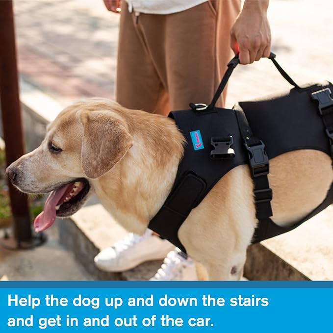 Dog Lift Harness, Rehabilitation Lifts Vest for Dogs, Support & Recovery Sling, Adjustable Breathable Lifting Straps for Old, Joint Injuries, Arthritis, Paralysis Dogs Walk (XL, Black)