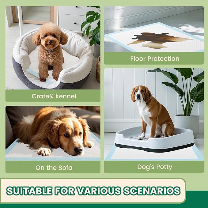 IMMCUTE Puppy Pee Pads 30x28 Inch, 50 Count - Extra Large Super Absorbent Puppy Training Pads with Double Leak-Proof Layer, Thick Disposable Potty Pads for Dogs & Pets Indoor & 0utdoor Use