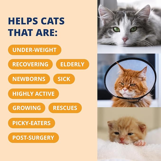 Under the Weather Pet Electrolytes Ready Cal Plus Gel for Cats | Vet-Formulated High-Calorie Supplement for Cats & Kittens | Promotes Weight Gain & Boosts Energy for Sick Felines | 3.5 Oz Tube Pack