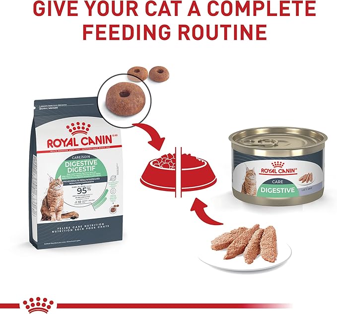 Royal Canin Feline Care Nutrition Digestive Care Loaf in Sauce Canned Cat Food, 5.1 oz can (24-count)