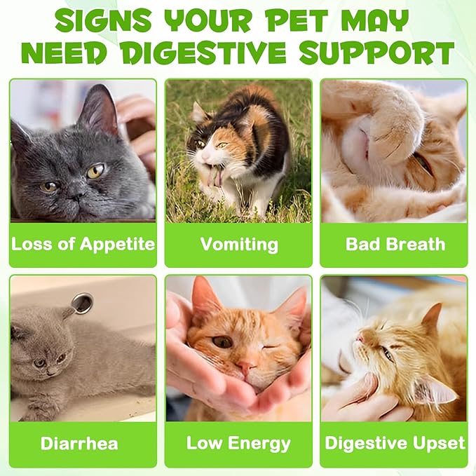 3-in-1 Probiotics for Cats(Pack of 2) with Digestive Enzymes & Prebiotics – Supports Gut Health, Immune System & Diarrhea Relief – 2 x 60ml for Cats of All Ages