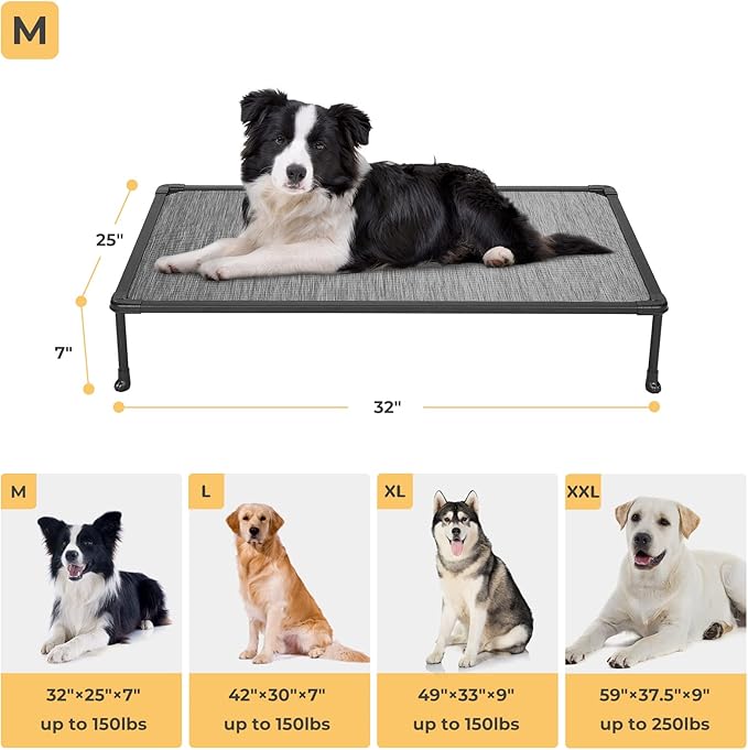 Veehoo Chewproof Elevated Dog Bed - Cooling Raised Pet Cot, Breathable Mesh, Washable & Non-Slip for Medium Dogs, Indoor/Outdoor, Black Silver Mat and Black Frame, 32x25inches (Model CWC2203A03)