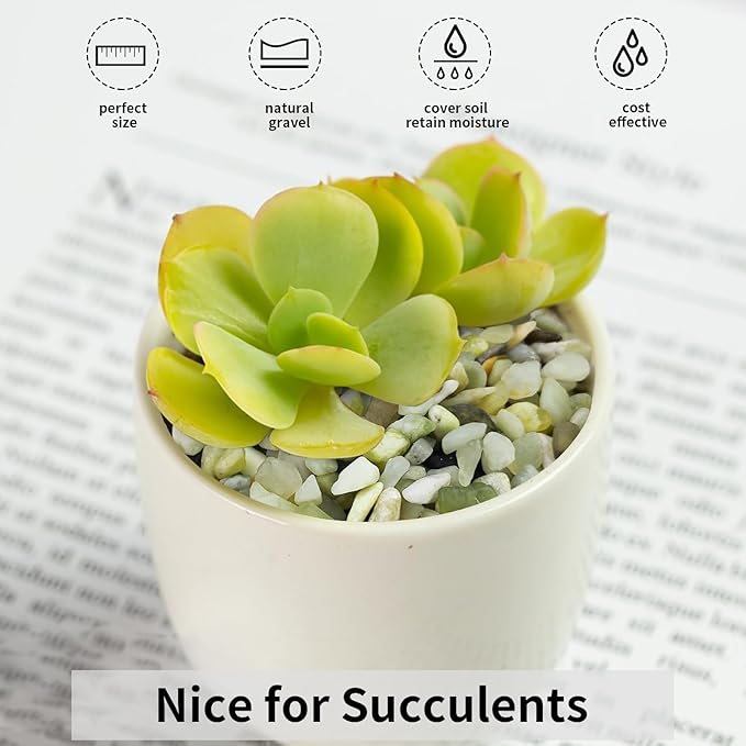 5 lbs Jade Gravel Small Pebbles for Indoor Plants, Decorative Rocks for Plants Succulents Cactus Bamboo Vases Filler and Potted Drainage Gravel