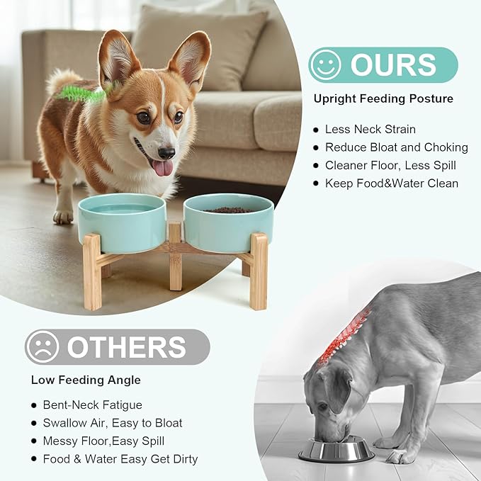SPUNKYJUNKY Elevated Dog Bowls Ceramic, 6.1'' Dogs and Cat Food Water Bowls Raised with Non-Slip Bamboo Stand for Medium Sized Breed Microwave Dishwasher Safe - 28.7 OZ,Light Green