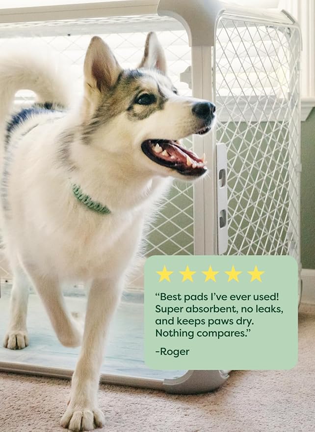 Earth Rated Max Absorbency Puppy Pee Pads for Dogs Absorbs 2X Faster & 2X More, Leak-Proof Odor-Free Potty Training Wee Wee Pad, Unscented, Large, 22” x 23”, 75 Count