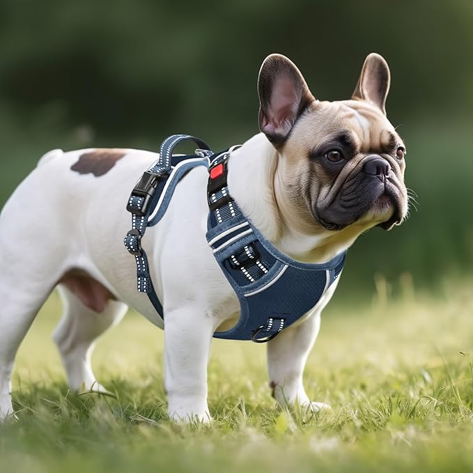 Timos Dog Harness Medium Sized, No Pull Pet Harness with Neck Lockable Snap,No Choke Front Clip Dog Reflective Vest,Adjustable Metal Rings 3 Buckles,Easy Control Handle for Medium Dogs Royal Blue M