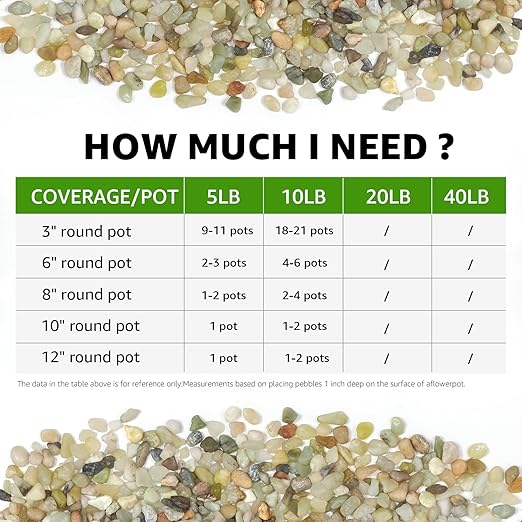 10 LBS Natural Decorative Jade Stones – Ideal for Plants, Succulents, Aquariums, Vases, and Garden Pots. 1/5 Inch Natural Stones Enhance Drainage and Soil Moisture Balance (Jade, 10 Pounds)