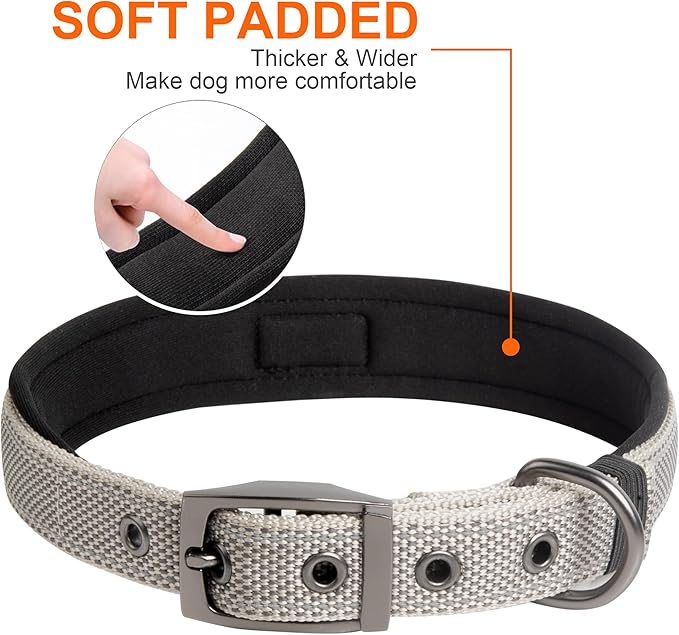 Fida Heavy Duty Dog Collar, Ultra Comfortable Soft Neoprene Padded, Adjustable Reflective Nylon Pet Collar with Durable Metal Belt Buckle for Small Breeds (S, Grey)