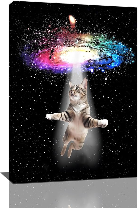 Funny Cat Wall Art Canvas Galaxy Wall Decor Prints Framed Painting Animal Pictures Gifts Artwork for Bathroom Living Dining Kitchen 16"x24"