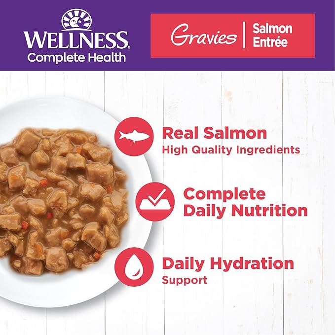 Wellness Complete Health Gravy Adult Wet Cat Food, Natural, Protein-Rich, Grain Free, 5.5 Ounce, 12 Pack, (Salmon Entree)