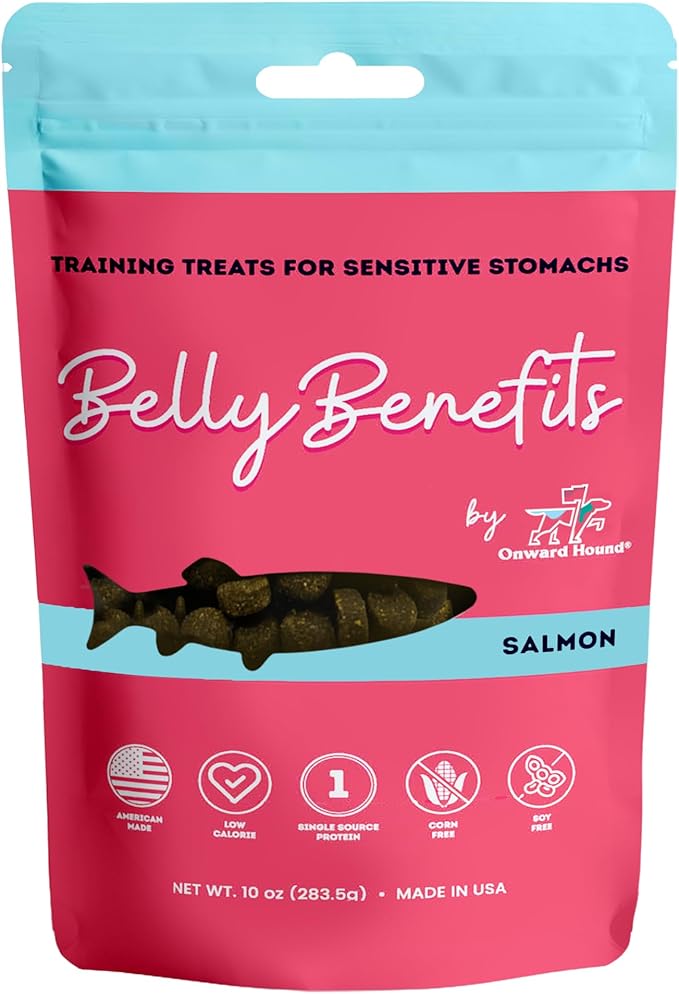 Training Treats for Dogs - Soft Salmon - Low Calorie Dog Training Treats for Sensitive Stomachs with Single Source Premium Protein, Corn Free, & Soy Free Formula - 10 oz