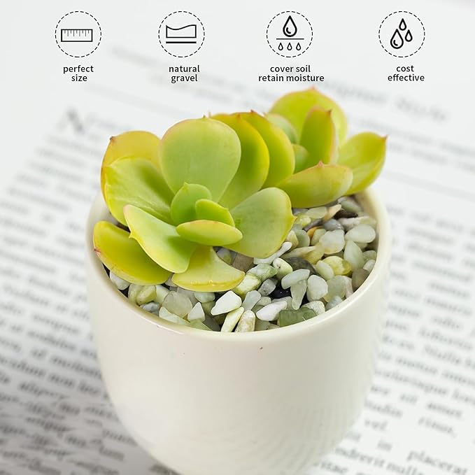 10 lbs Pebbles for Landscaping,1/4 Inch Polished Green Pea Gravel Small Rocks for Plants, Succulents, Cactus, Vases, Terrarium and Outdoor Gardening