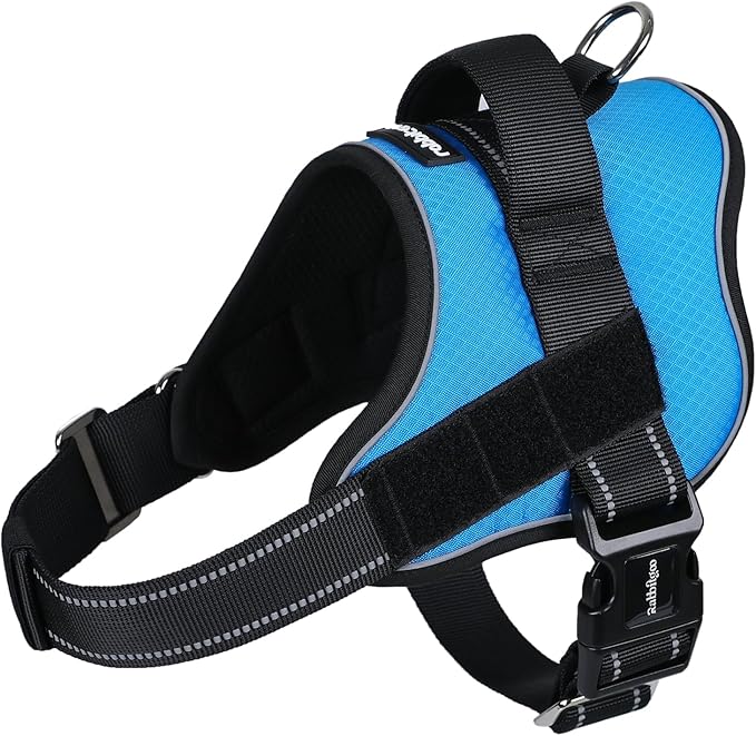 rabbitgoo Dog Harness Medium Sized, Easy On Pet Vest with One Buckle, No Pull Adjustable Service Harness with D-Ring & Handle, Reflective for Safety Walking, Training, Blue, M