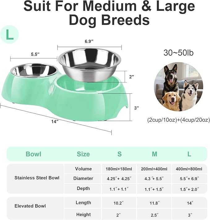 Elevated Dog Bowls Set - Non-Slip Raised Pet Feeder with Medium (2 Cups) & Large (4 Cups) Stainless Steel Bowls - Includes Durable Resin Stand for Puppies, Adult Dogs & Cats - Green