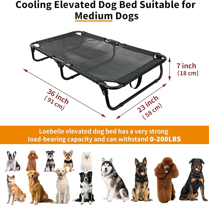 Elevated Dog Bed, Foldable Raised Dogs Bed Outdoor Dog Cots Beds for Large Dogs Cooling Outside Camping Chew-Proof No Assembly Need, Black