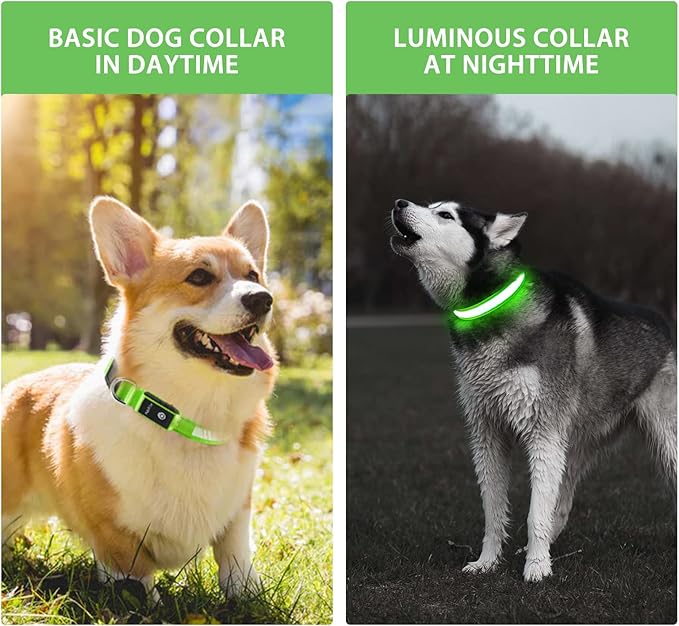 PcEoTllar Light up Dog Collar for Night Walking - LED Dog Collar Light Rechargeable Color Changing, Glow in The Dark Dog Collars Waterproof Glowing Dog Collars for Large Small Medium Dogs