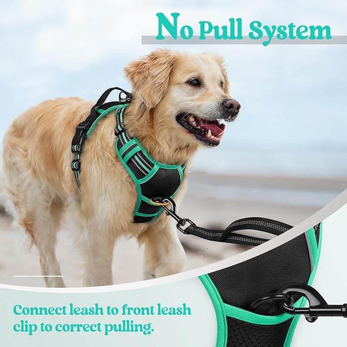 rabbitgoo Dog Harness No Pull with 2 Leash Clips, Adjustable Soft Padded, Reflective Oxford No Choke Pet Vest with Easy Control Handle for Small Dogs, Black & Turquoise, S