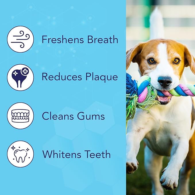 NOVEHA Pets Dental Finger Wipes for Dogs & Cats | Freshens Breath, Reduces Plaque | Healthier Gums | Clean Teeth No Toothbrush | Vet Recommended Effective Natural Oral Care (50 pcs, Flavor-Free)
