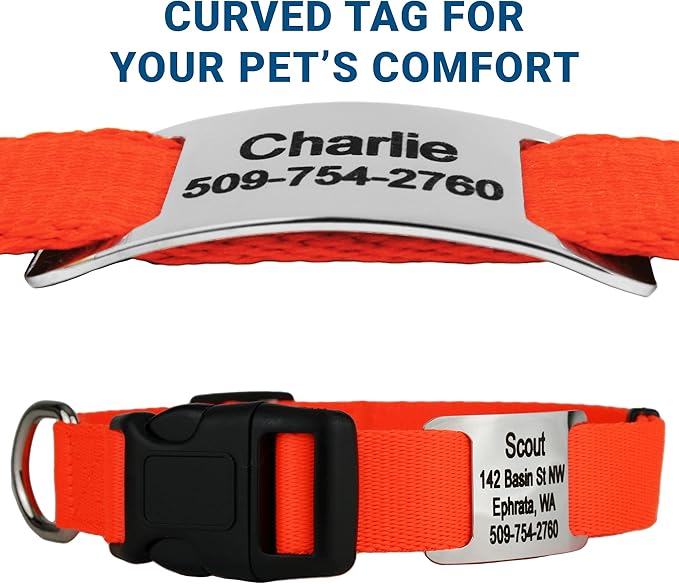 GoTags Personalized Dog Collar with Nameplate, Adjustable Dog Collar with Custom Engraved Slide On Pet ID Tag in Stainless Steel, Silent, No Noise Dog Tag for Large Medium and Small (Orange, Large)