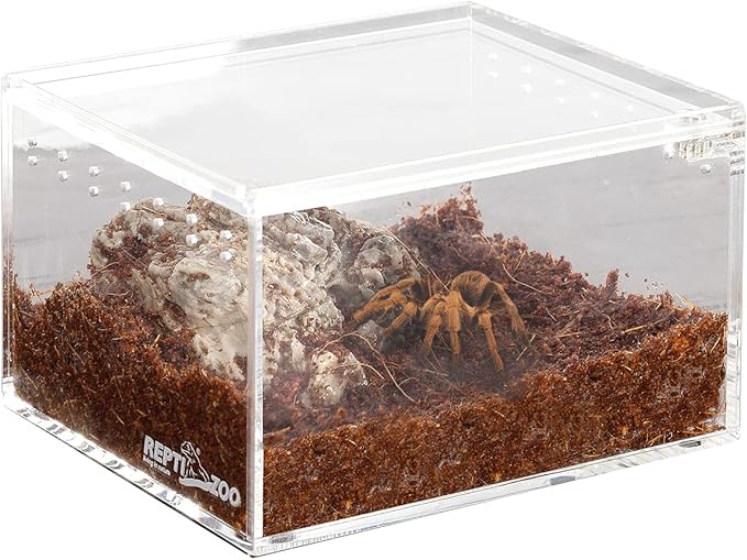REPTI ZOO Magnetic Acrylic Case 4.1"x3.3"x2.5" Nano Enclosure Reptile Breeding Box Terrarium Cage Tank Tarantula Scorpion Sling Isopods Lizards Roach Invertebrates Insect Mantis