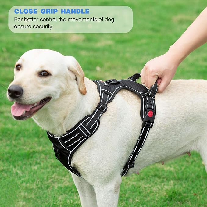 No Pull Harness Adjustable Reflective Oxford Easy Control Medium Large Dogs with A Free Heavy Duty 5ft Leash Black/Red Harness+Leash (E-DH F 004)