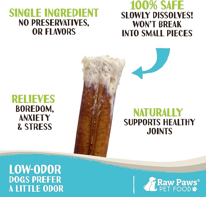 Raw Paws Standard Bully Sticks for Small Dogs, 6-Inch (10 Count) - Low Odor Junior Bully Chews - Free-Range Pizzle Sticks for Dogs - Single Ingredient Dog Chews - Rawhide Alternative - Long Lasting