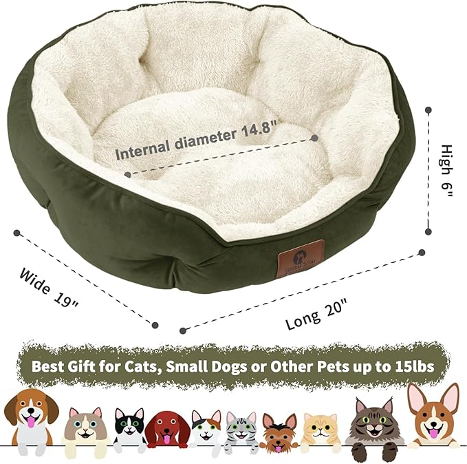 Asvin Small Dog Bed for Small Dogs, Cat Beds for Indoor Cats, Pet Bed for Puppy and Kitty, Extra Soft & Machine Washable with Anti-Slip & Water-Resistant Oxford Bottom, Green, 20 inches