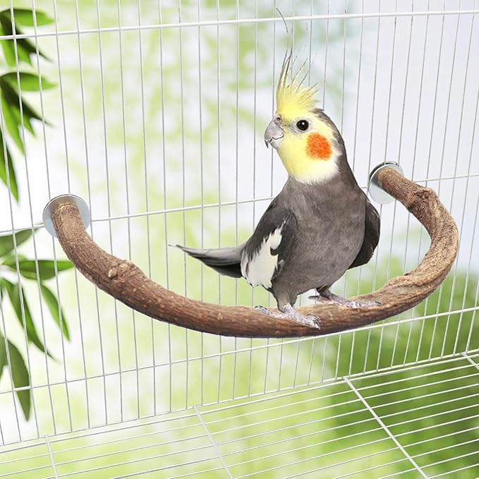 2 Pack Bird Perch Stand, Natural Wood U Shape Parrot Stand Pole, Bird Cage Accessories, Suitable for Small to Medium Birds Parakeets Cockatiels Budgie Lovebirds