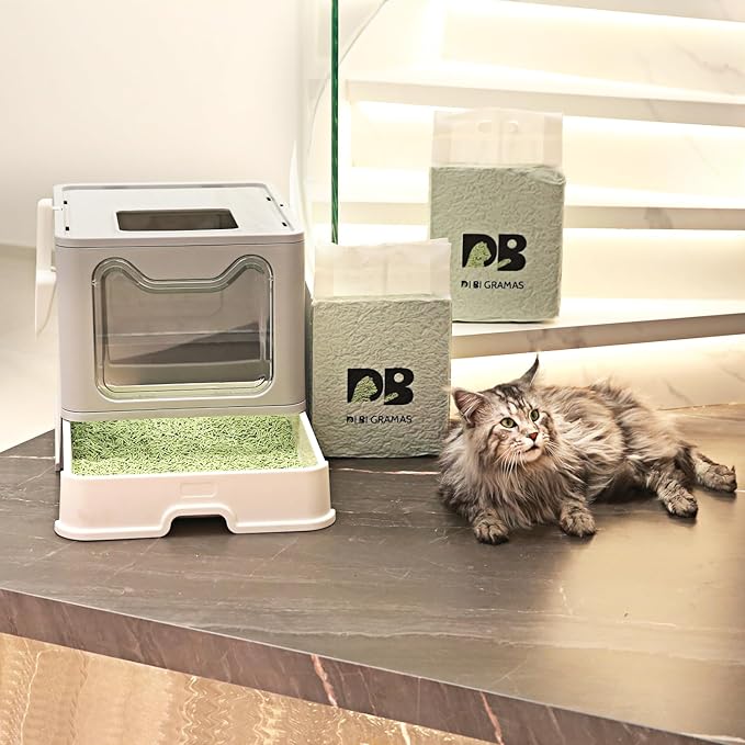 Cat Litter 12LB/2 Packs Dust-Free Clumping Tofu Cat Litter Quickly Absorb Odors Toilet Can Flush Into The Toilet Pure Natural tofu cat Litter (Green Tea)