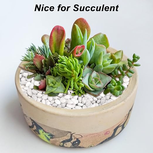 Aquarium Gravel,Landscaping Pebbles, Decorative Ornamental Pebbles Garden,Landscaping Stones Gravel Filler for Home Decoration Flower Bed Fish Tank Plants Vases Succulents (10 Pounds, White)