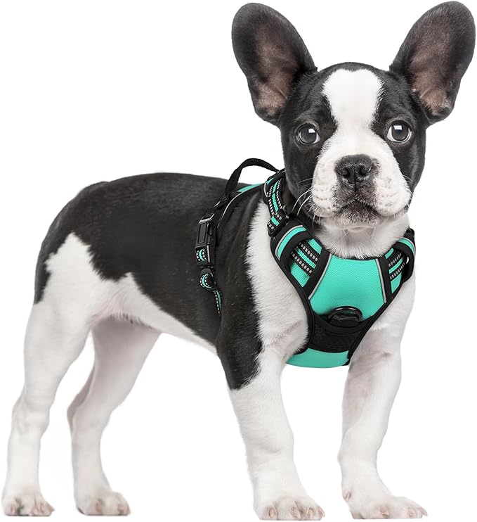 rabbitgoo Dog Harness No Pull with 2 Leash Clips, Adjustable Soft Padded, Reflective Oxford No Choke Pet Vest with Easy Control Handle for Small Dogs, Turquoise, S