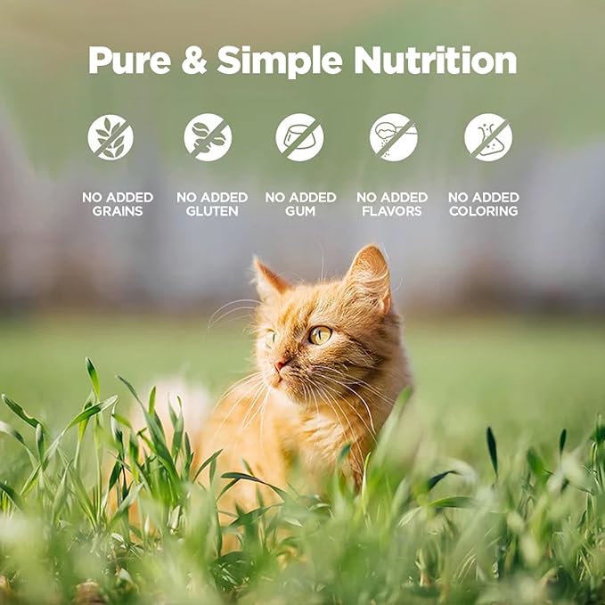 ZEAL New Zealand Wet Cat Food – High Protein, Grain-Free with Superfoods (Chicken, 6oz Can, 12-Pack)