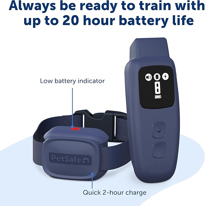 PetSafe Basic Dog Trainer with Remote – Waterproof Training Collar – 300 ft Range – Tone, Vibration and Eight Levels of Static