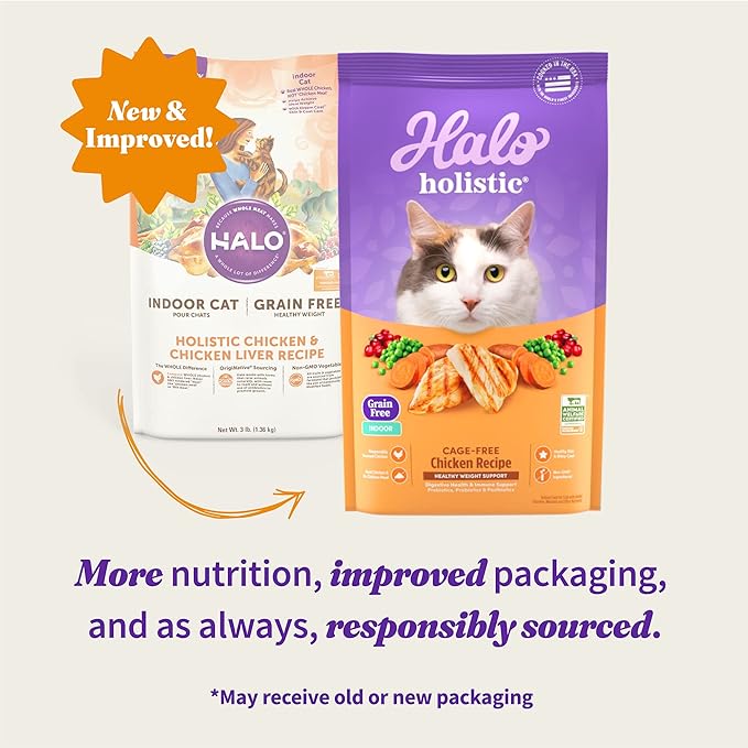 Halo Holistic Cage Free Chicken Cat Food, Grain Free Dry Cat Food, For Healthy Weight Support, Kibble for Indoor Cats, 6 lb Bag