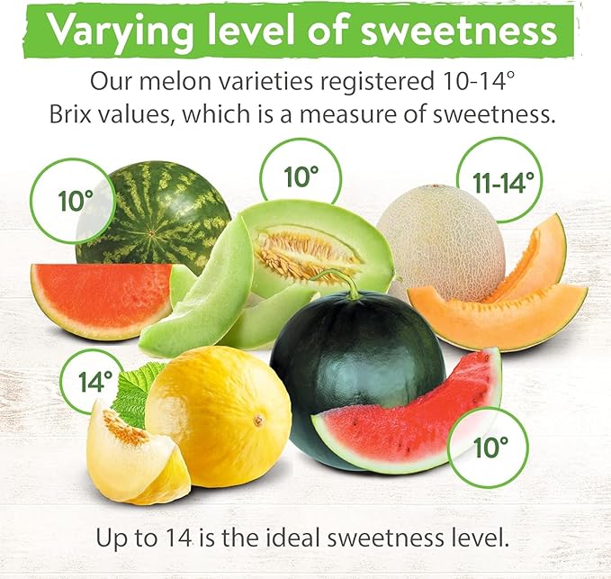 HOME GROWN 𝗨𝗦𝗔 𝗣𝗥𝗘𝗠𝗜𝗨𝗠 Melon Seeds Variety Pack 5 𝗡𝗢𝗡-𝗚𝗠𝗢 Heirloom Vegetable Seeds, Watermelon Cantaloupe Honeydew Sugar Baby & Melon, High Germination for Planting Home Garden Indoors